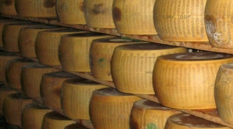 Legacoop interviene a sostegno del progetto del magazzino di stagionatura del formaggio nel Comune di S.Martino in Rio