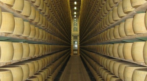 PARMIGIANO REGGIANO, L’ALLEANZA DELLE COOPERATIVE ITALIANE: “UTILIZZARE LA PROGRAMMAZIONE PRODUTTIVA DEL CONSORZIO”