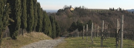 NORDIC WALKING CON INCIA SUI COLLI DI QUATTRO CASTELLA